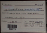 Image Associated With the Occurence